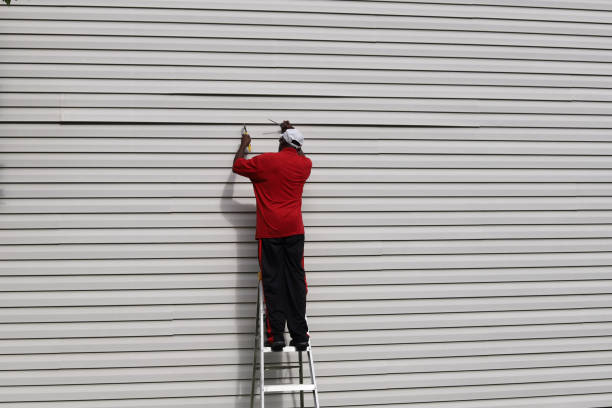 Best Fascia and Soffit Installation  in Morgantown, KY